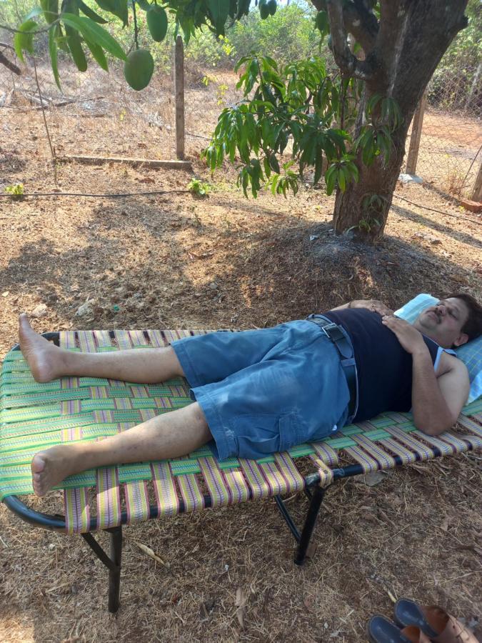 Harihareshwar Misty Woods Eco Cottages מראה חיצוני תמונה